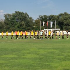 Lipa klonila v Serdici